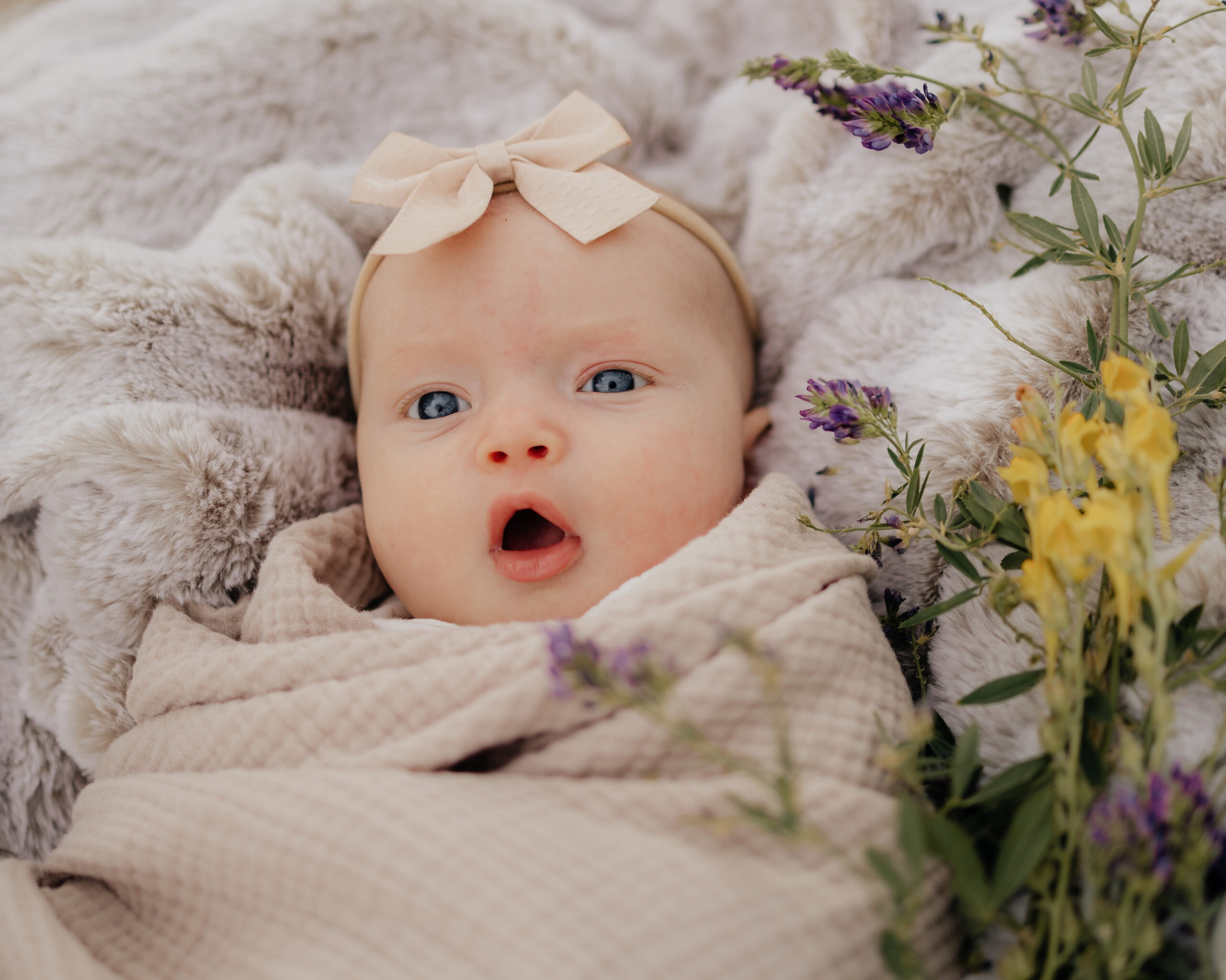 baby girl swaddled with wildflowers at newborn photo shoot in Provo, Utah